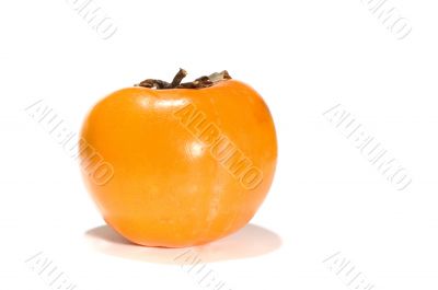 persimmon