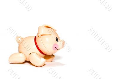 plastic toy - Pig