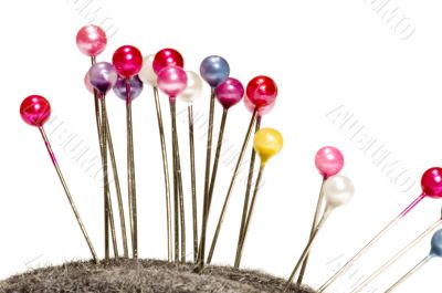 sewing  pin