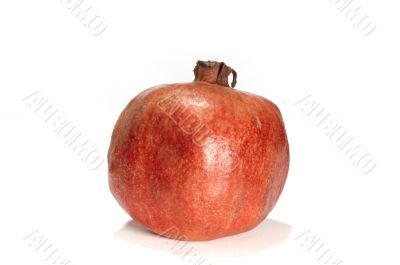pomegranate