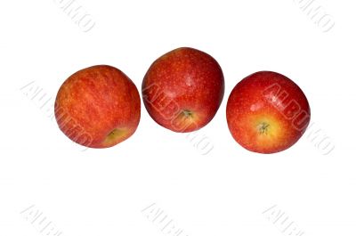 Ripe apple