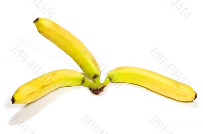 Three banana