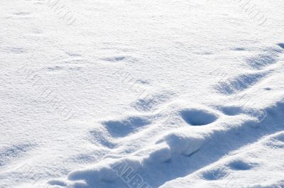 fresh snow