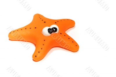 starfish