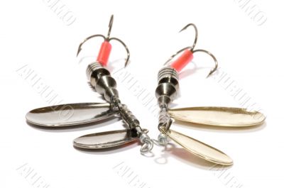 Two minnow