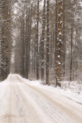winter road