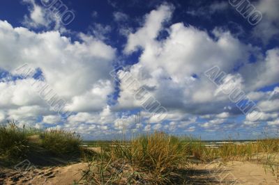 Dunes with green grass