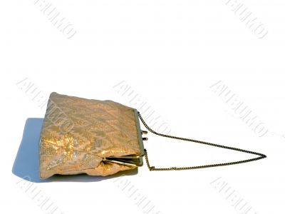 Ladies` handbag for cosmetics