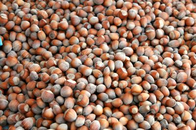 hazelnuts background