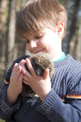 boy with hedgehog