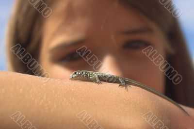 lizard on hand