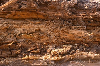 old wood