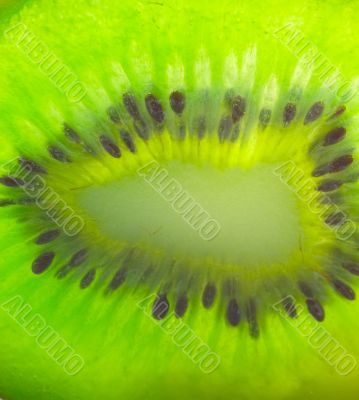 kiwi background