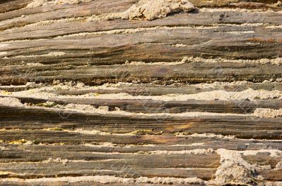 old wood