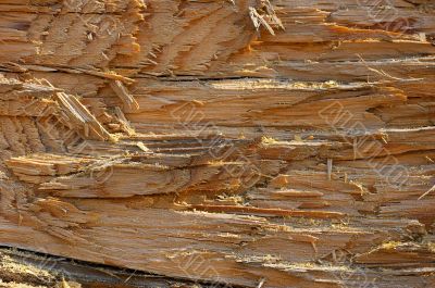 old wood