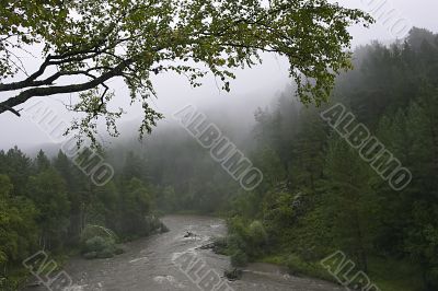 fog and river