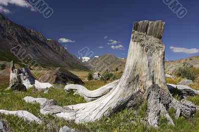 Mauntain landscape