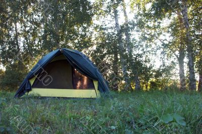 tent in the forest