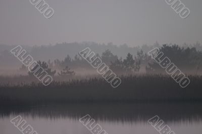Foggy daybreak