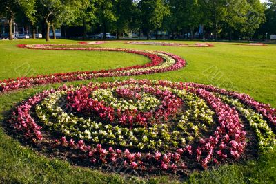 flower bed
