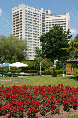 flower bed