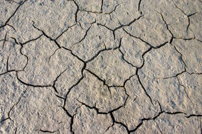 Parched crannied earth