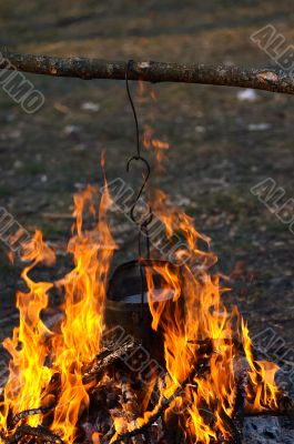 kettle in the fire