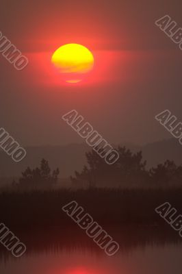 Sunrise over wild lake