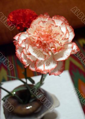Flower red in vase