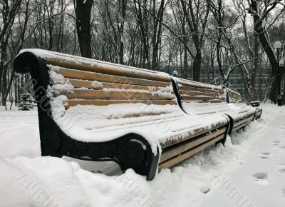 The long winter dreams