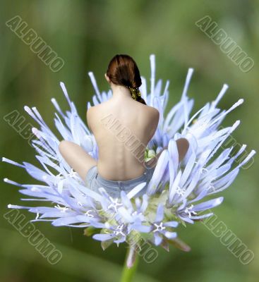 Little elf on flower