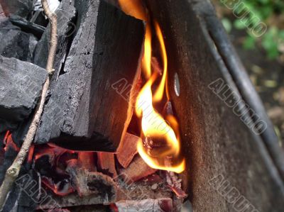 Tongues of flame