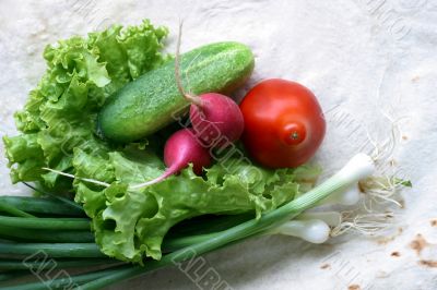 Vegetables for salad