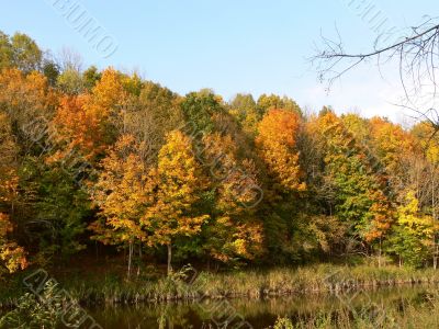 Rural Landscape