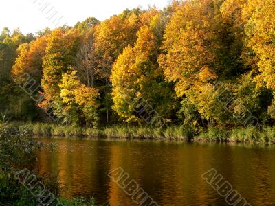 Rural Landscape