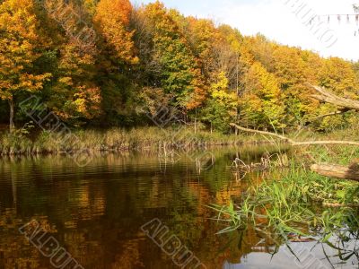 Rural Landscape