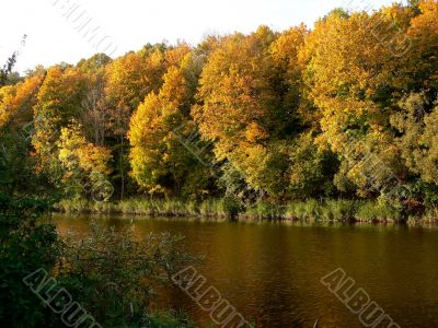Rural Landscape