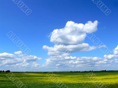 Lithuanian landscape