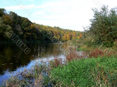 Rural Landscape