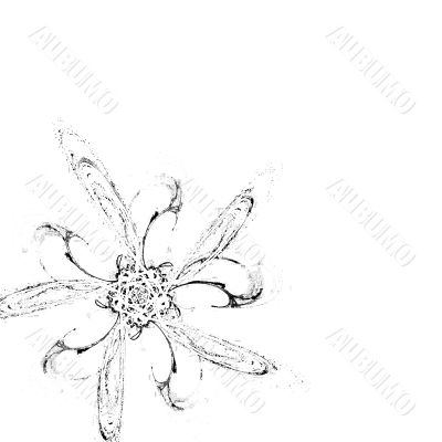 Vertical white background with black ornament