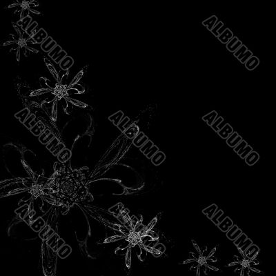 black-and-white flower background