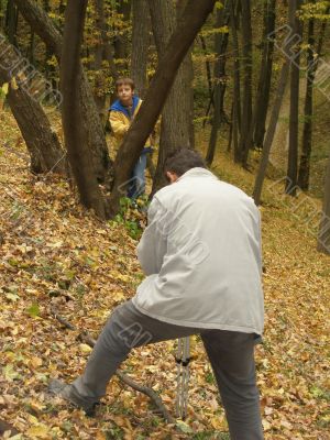 The shoot of yellow leaf