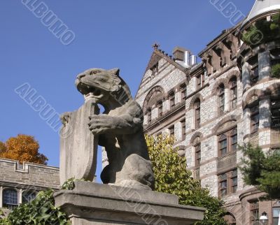 Leo with shield in Princeton college