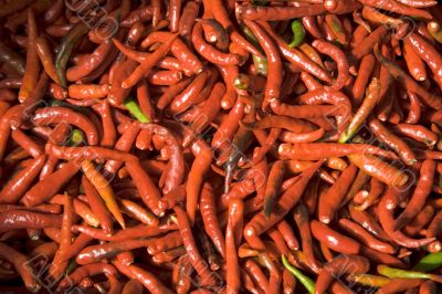 Red hot chili pepper II