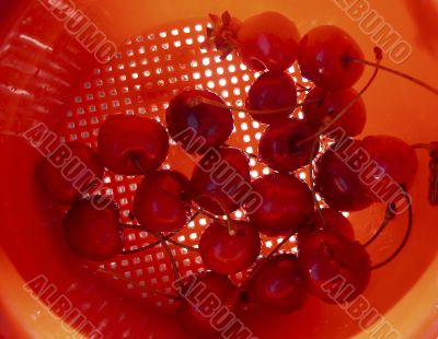 Cherries in sieve