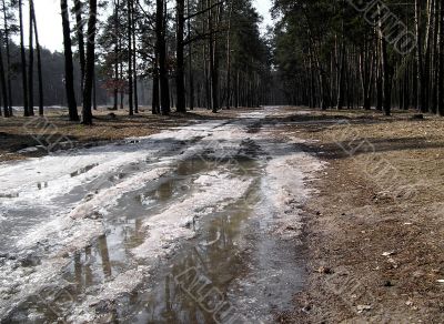 Road into spring