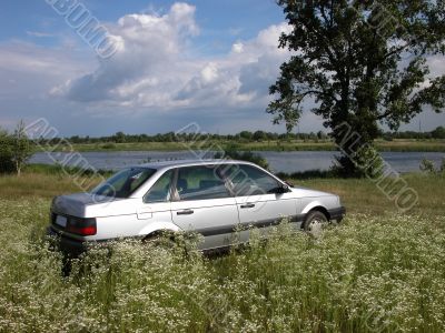 The car on the blossoming meadow