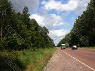 Road in green forest