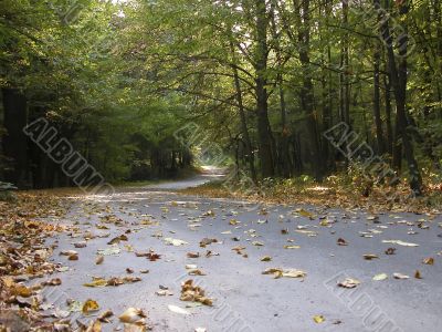 The twisting path