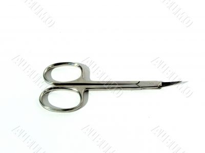 manicure scissors